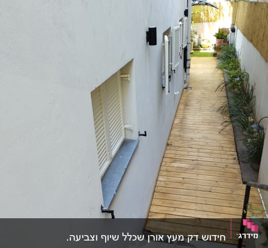 שביל עץ עם צמחייה בצדדים